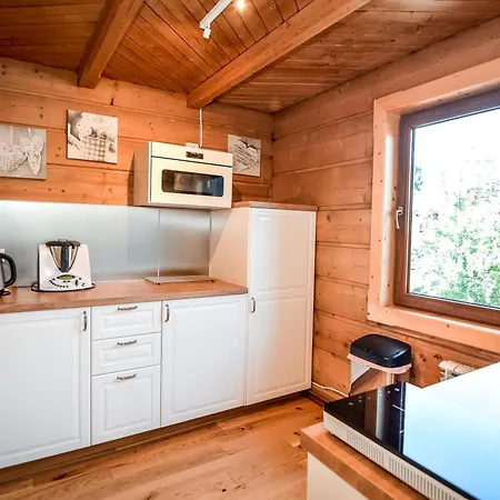 Apartment & U Gabrysi